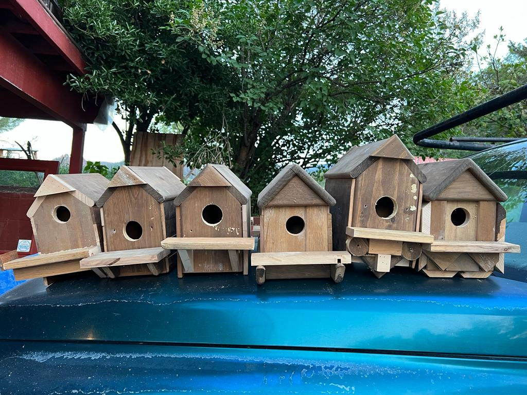 Photo from Eco-village is growing!