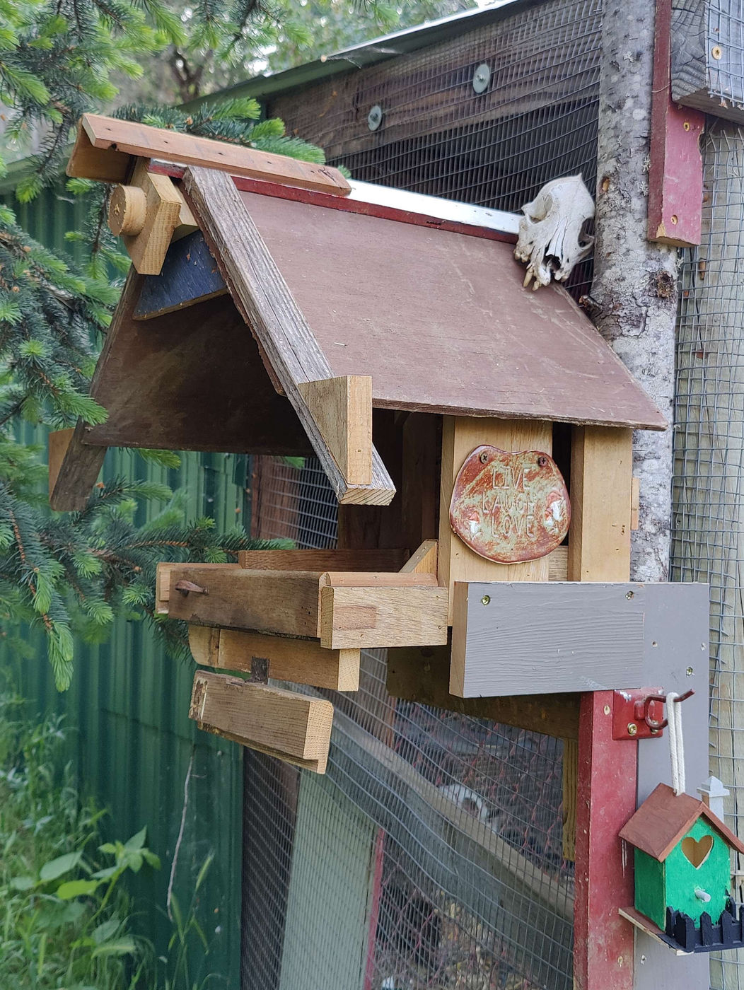 Photo from Eco-village is growing!