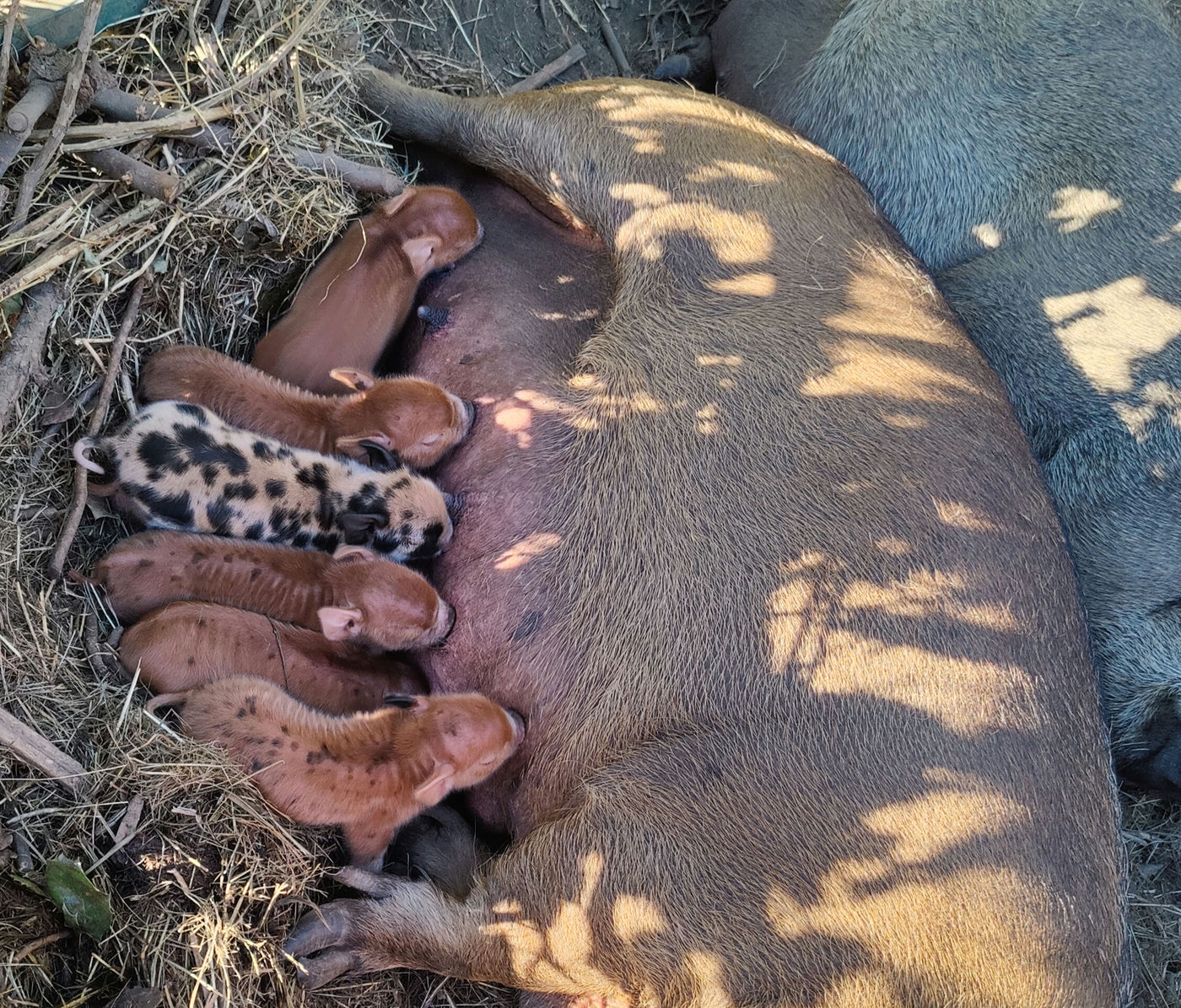 Photo from End of summer news!