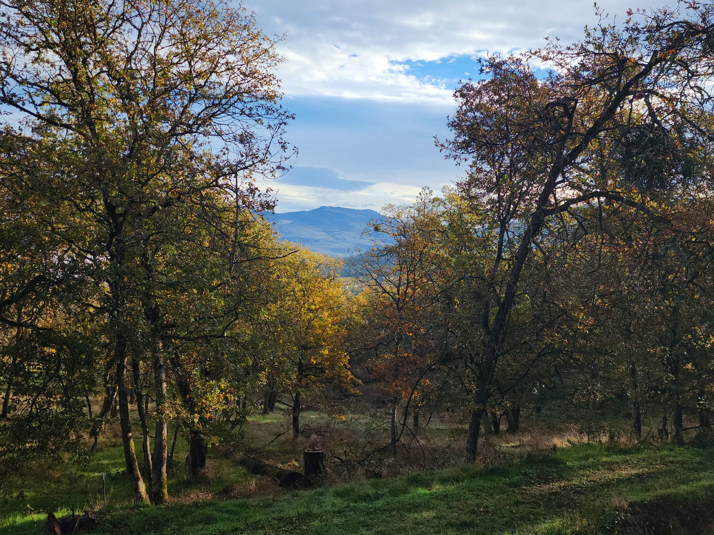 Photo from Fall is here!