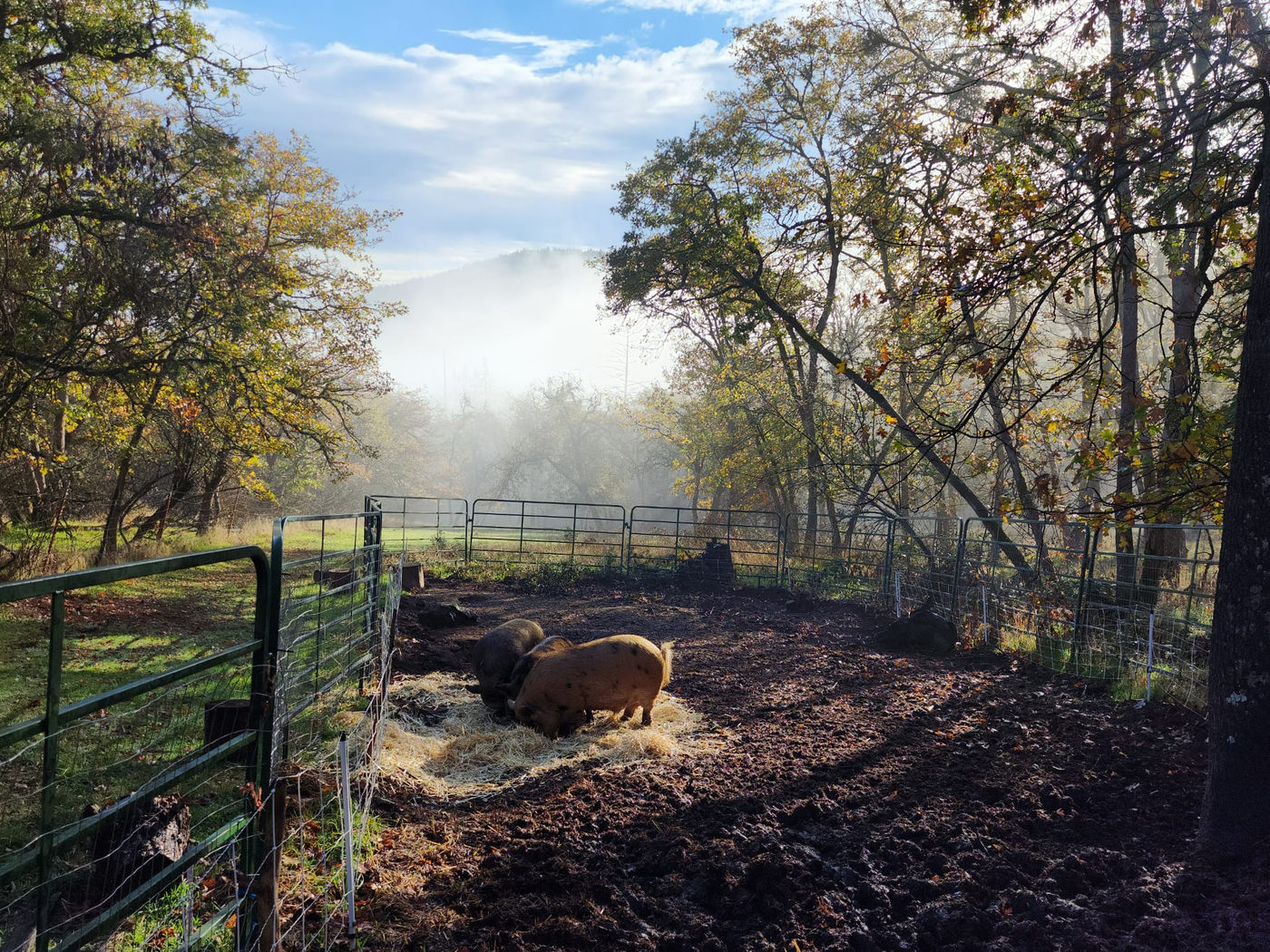 Photo from Fall is here!