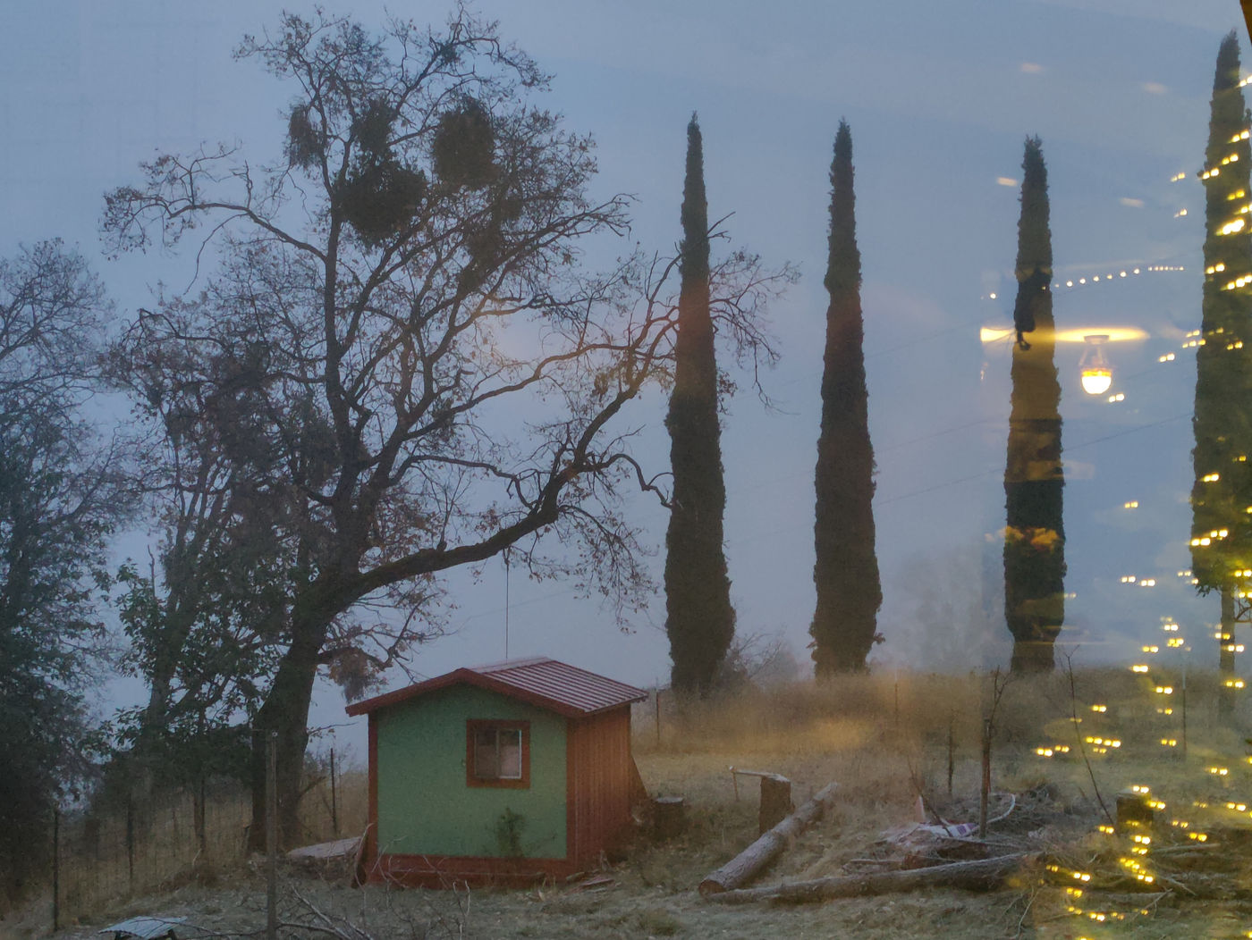 Photo from Frost on the ground