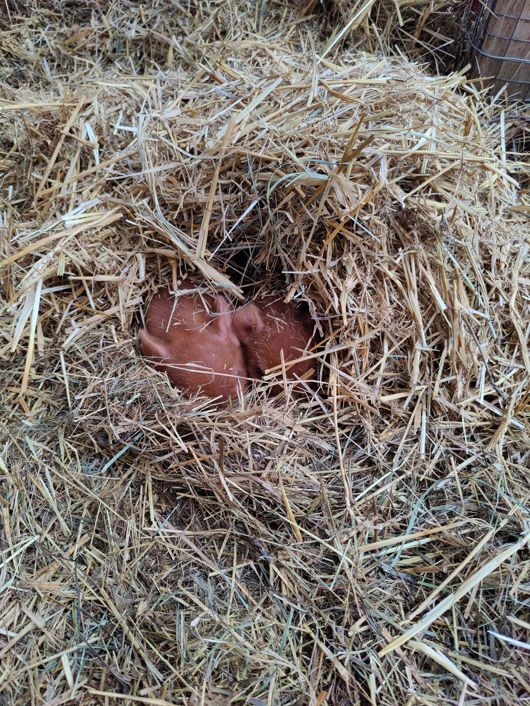 Photo from Frost on the ground