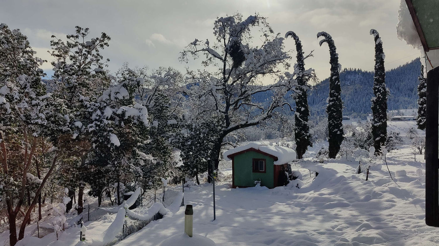 Photo from Goodbye winter!