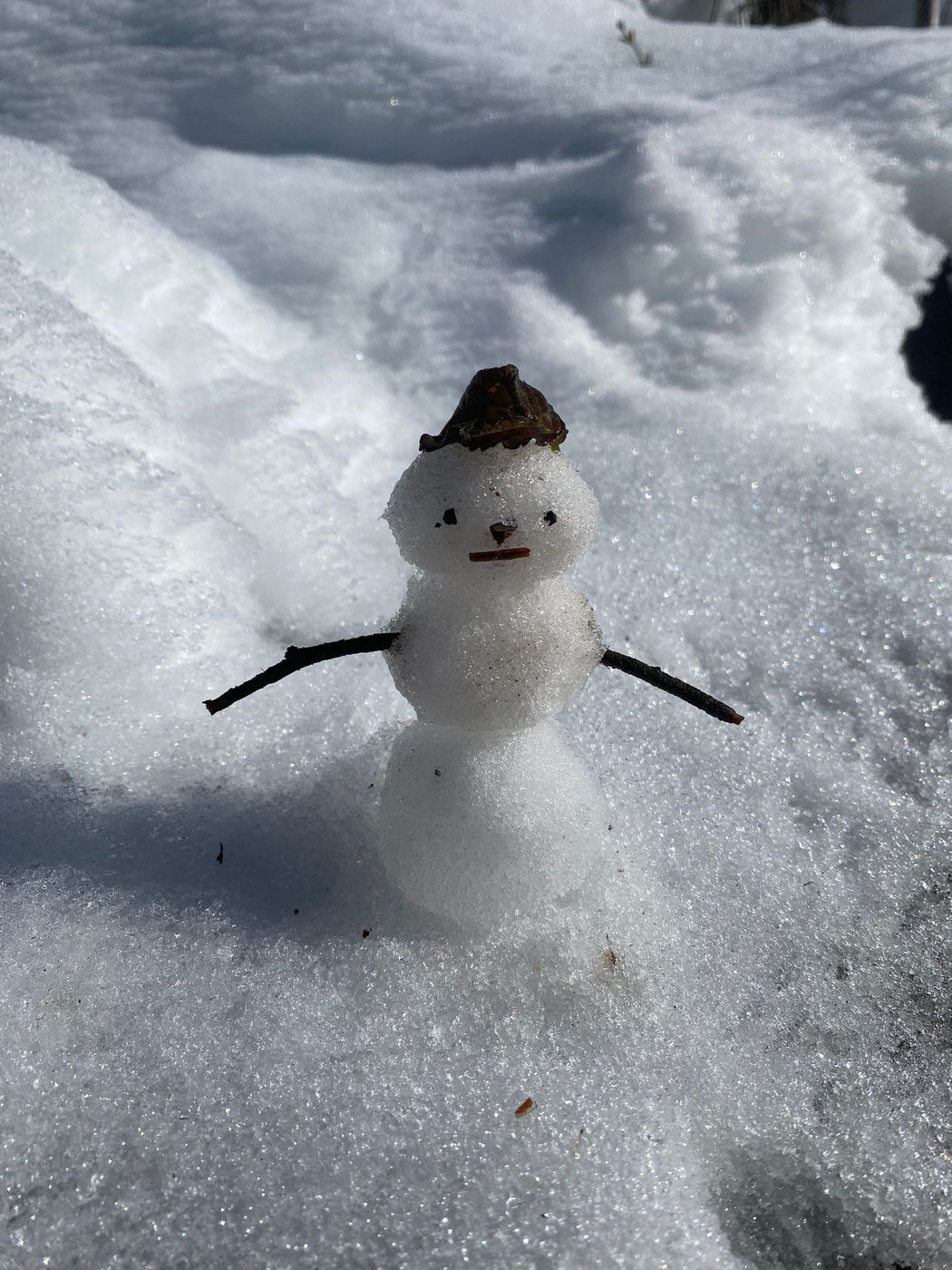 Photo from Goodbye winter!