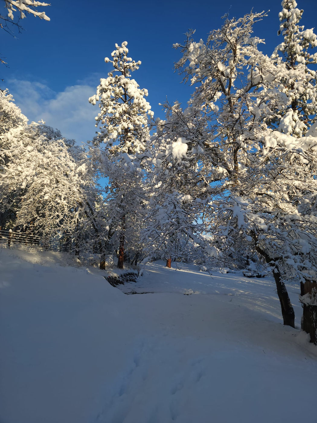 Photo from Goodbye winter!