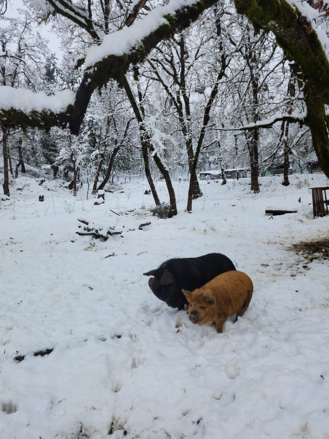 Photo from Goodbye winter!