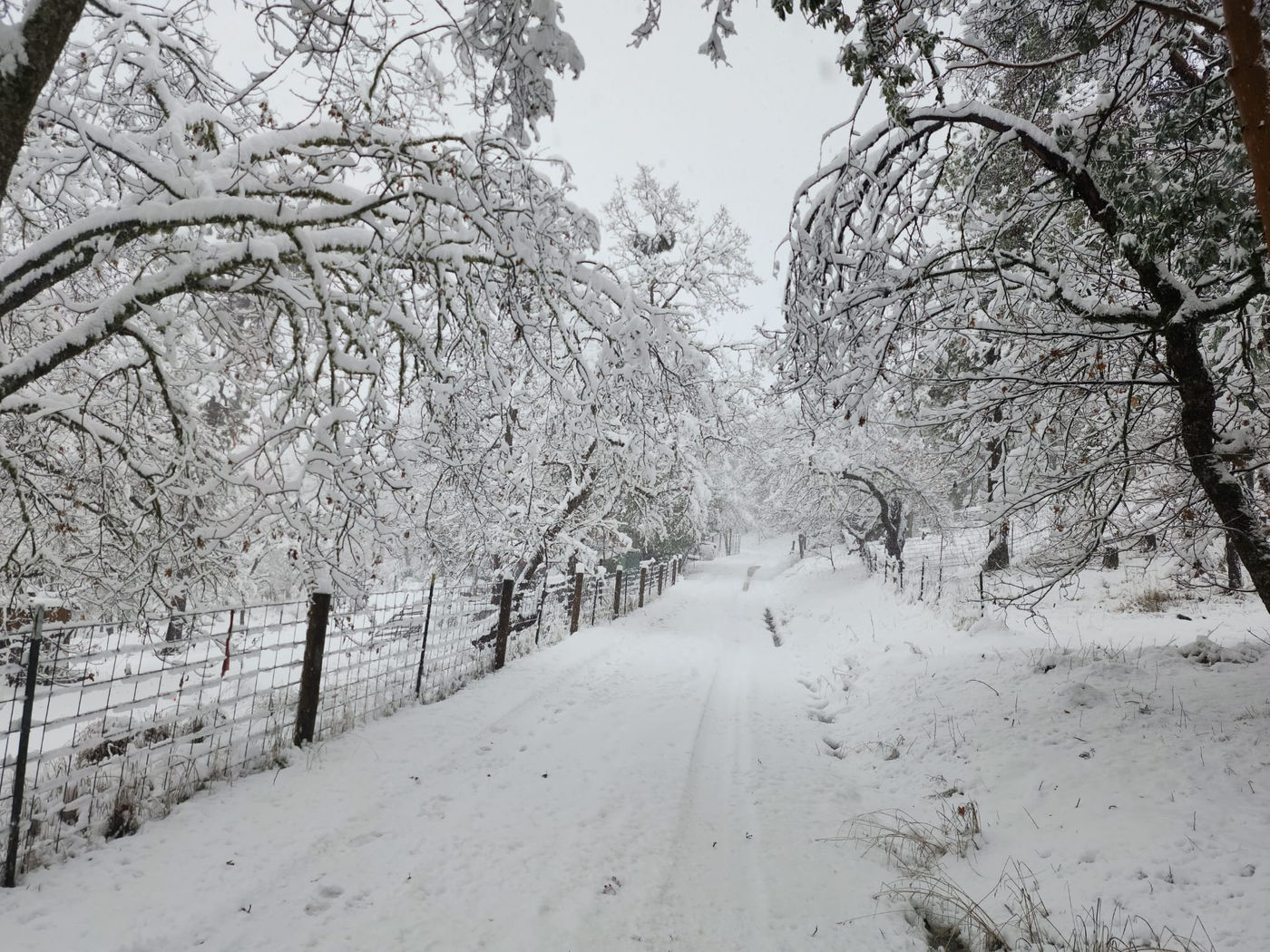 Photo from Goodbye winter!