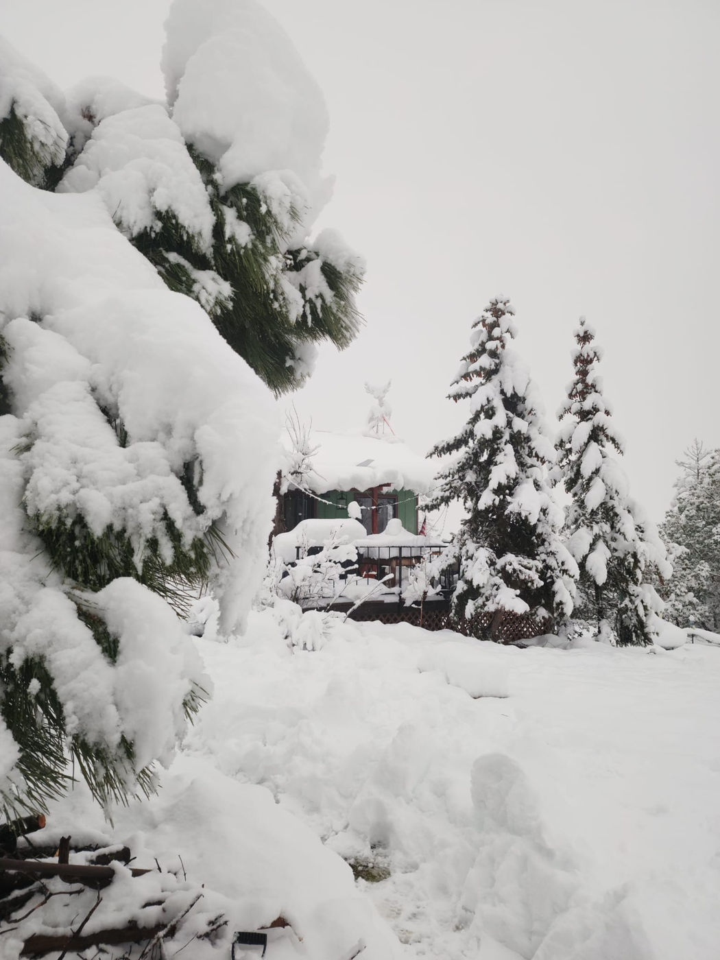 Photo from Goodbye winter!