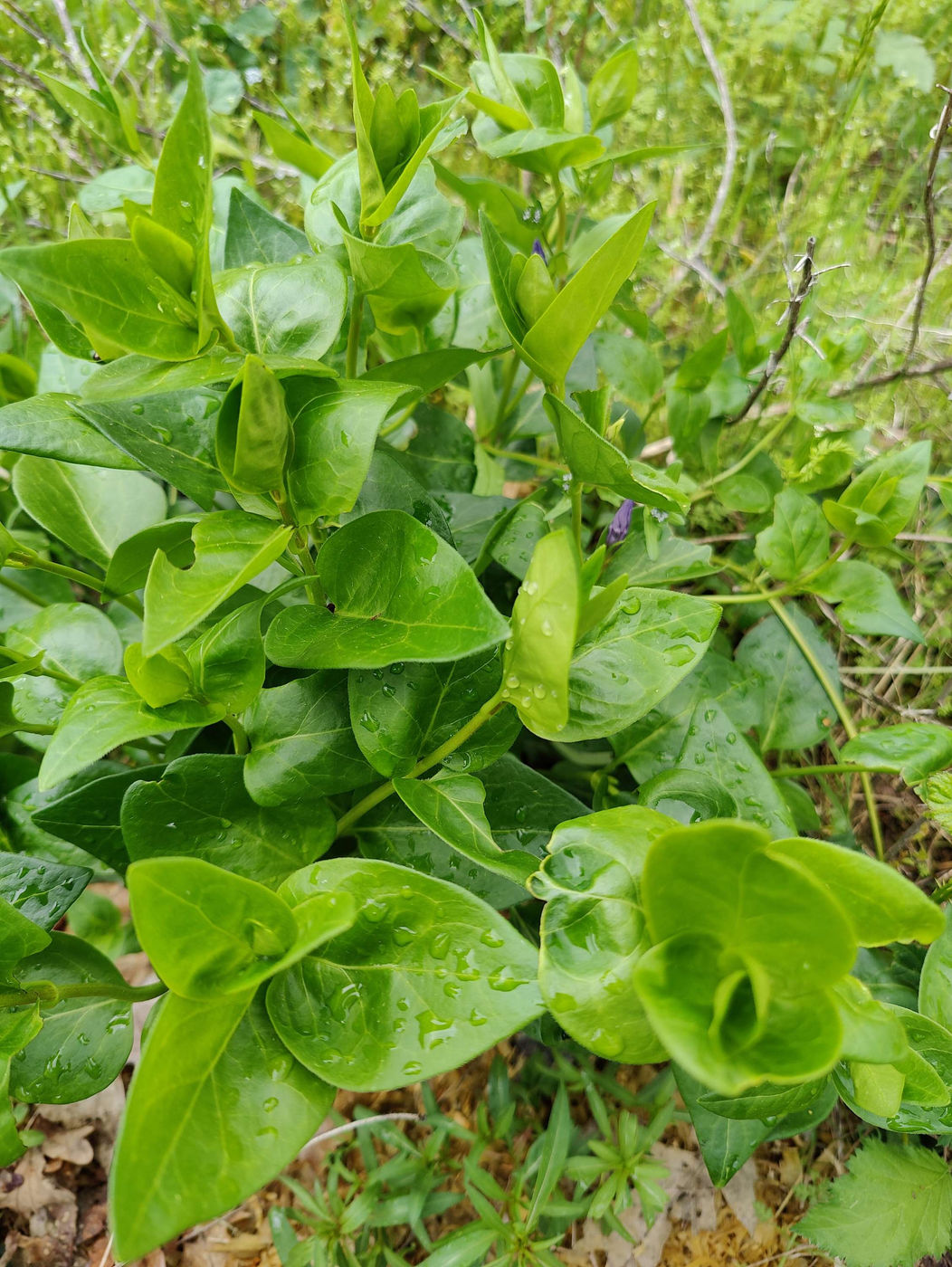 Photo from Green is everywhere!