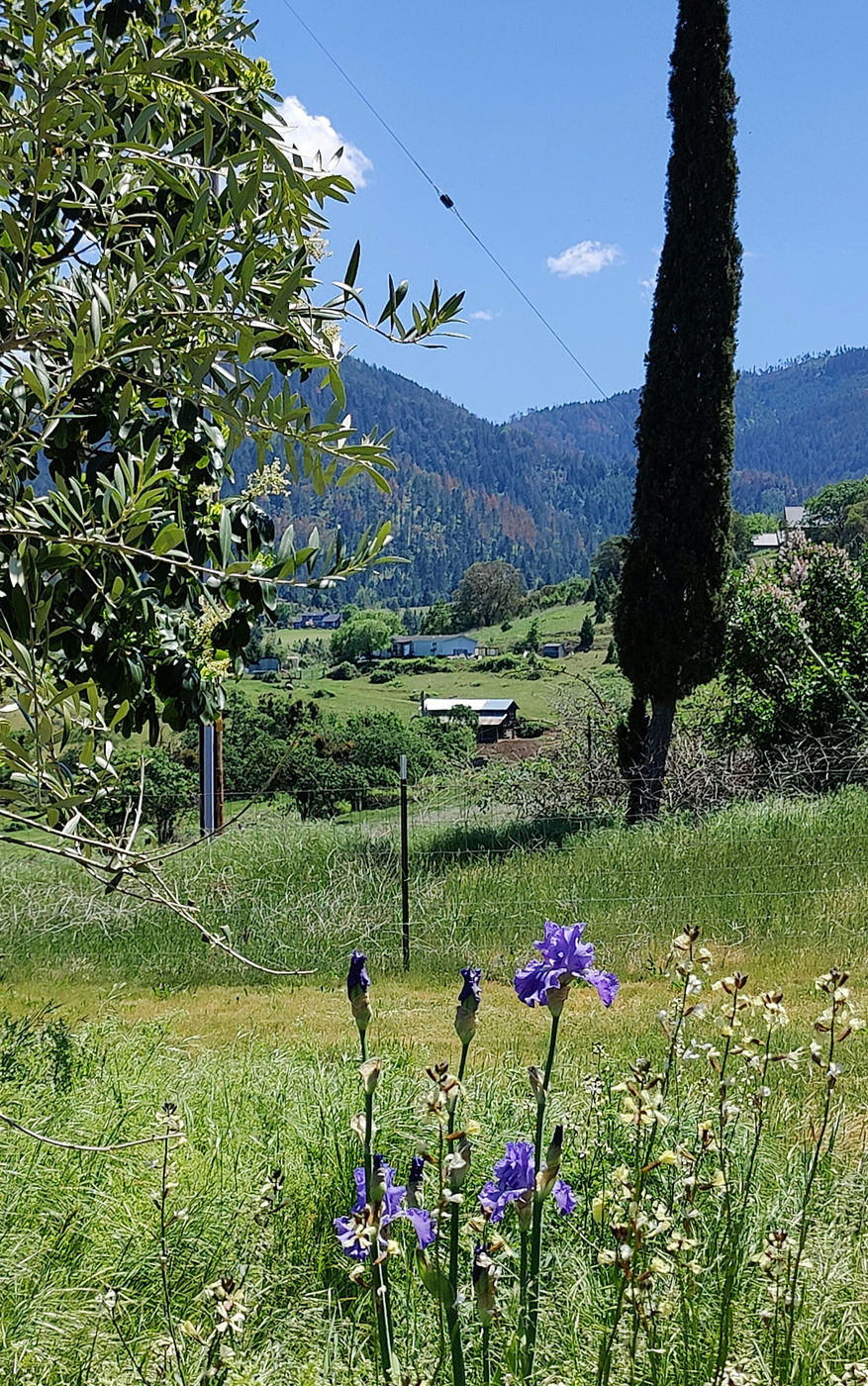 Photo from Green is everywhere!