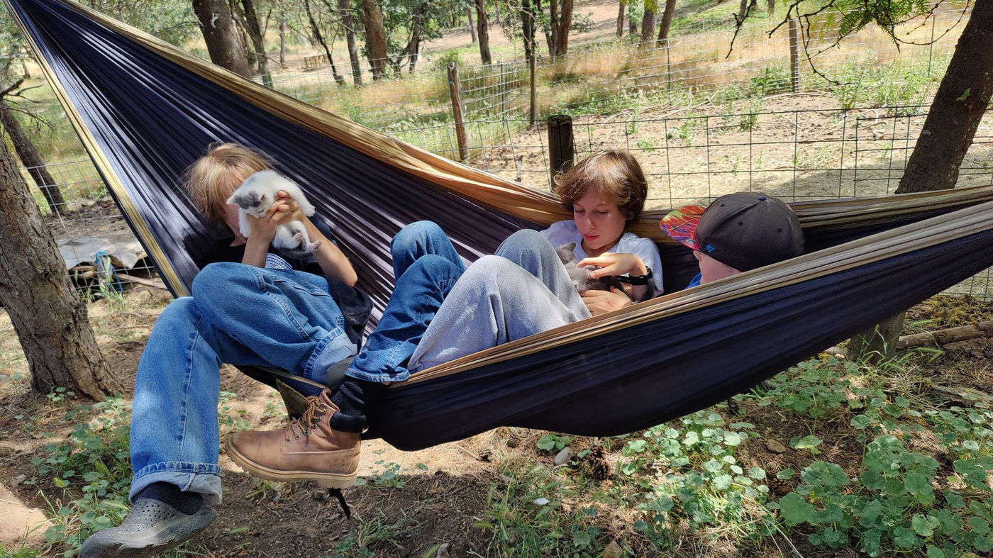 Photo from Happy Summer Solstice!