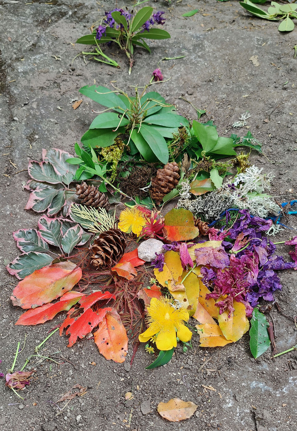 Photo from Happy Summer Solstice!