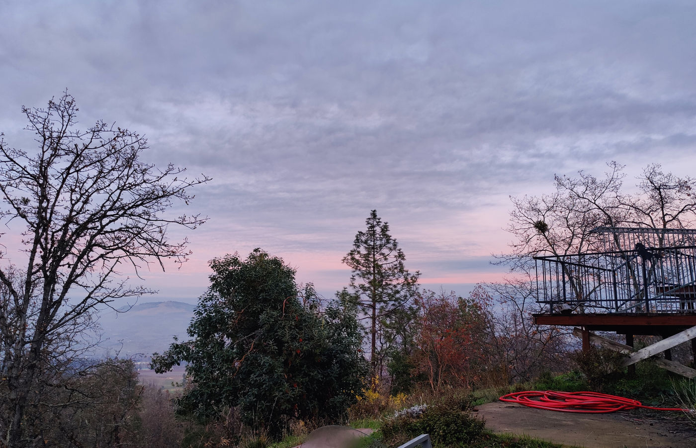Photo from It's a Fog Season!