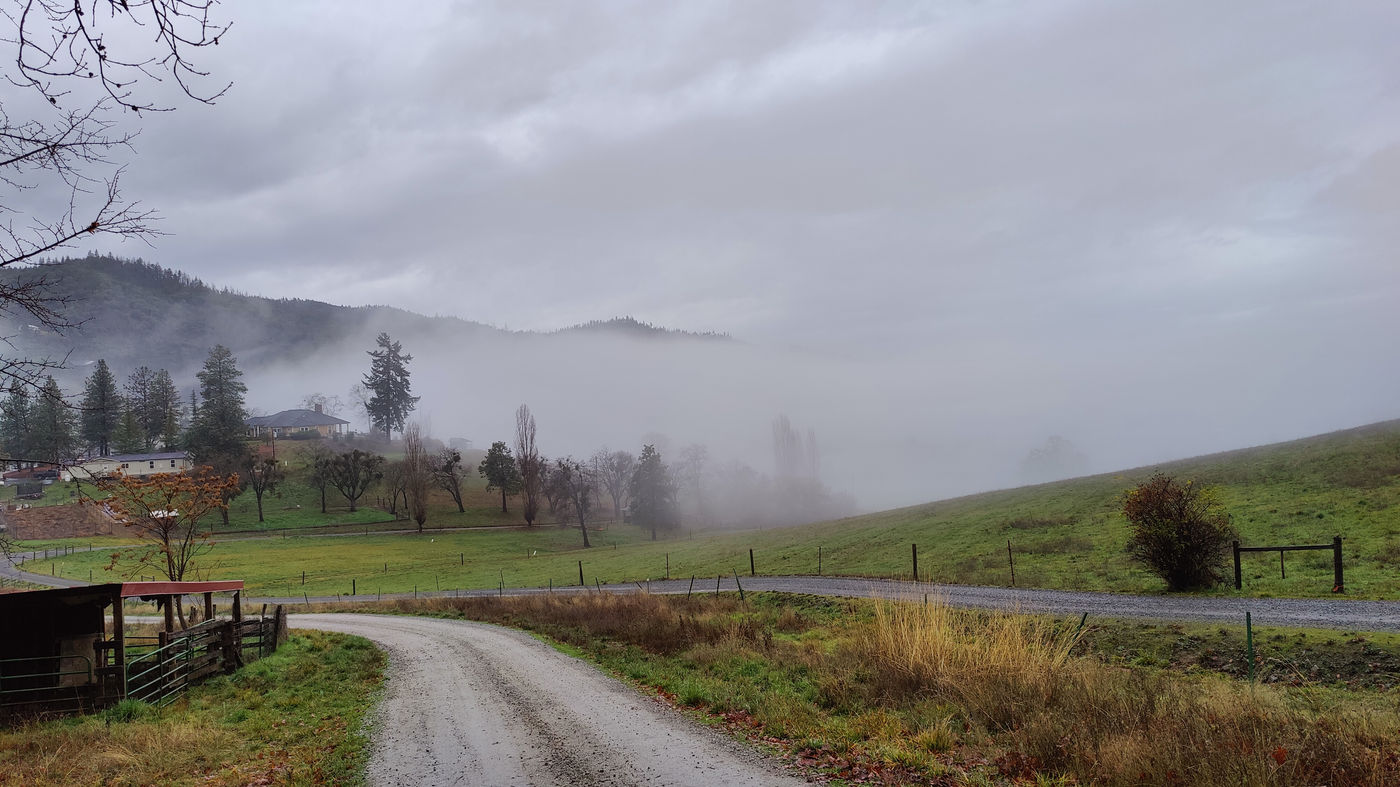 Photo from It’s a Fog Season!