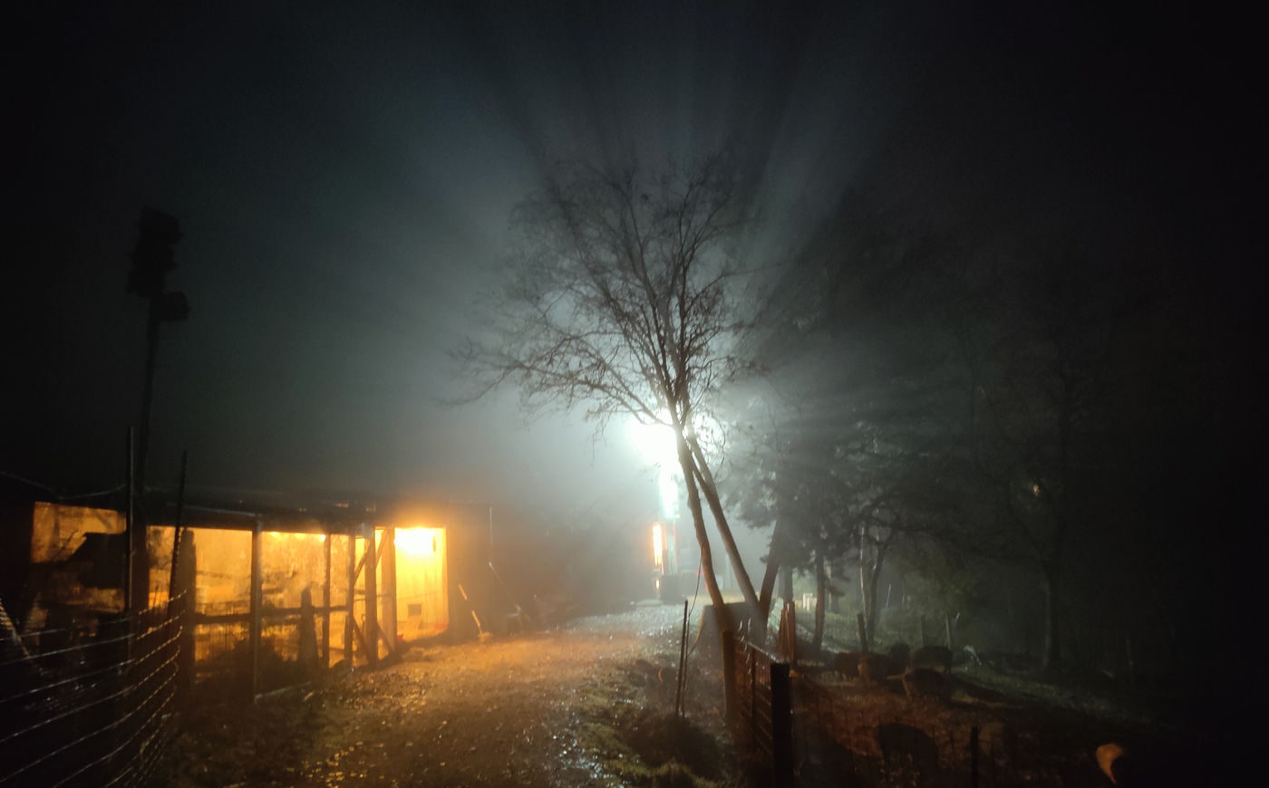 Photo from It’s a Fog Season!
