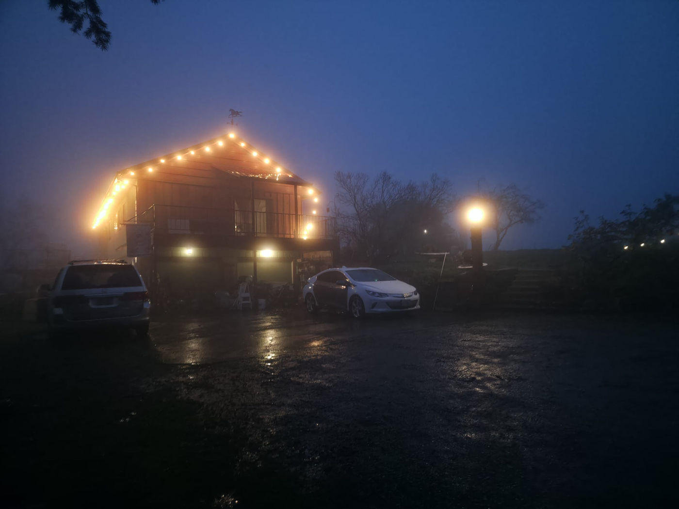 Photo from It’s a Fog Season!