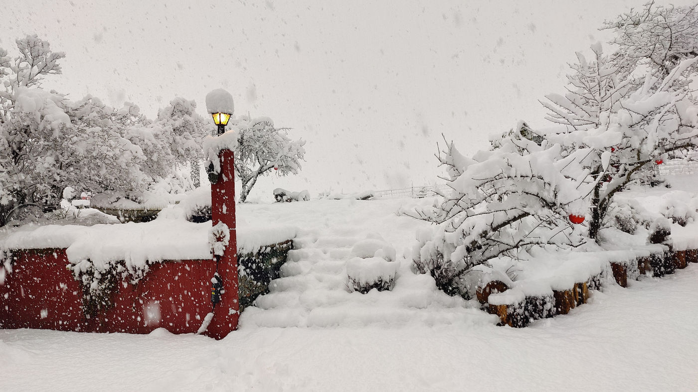 Photo from Short and sweet Oregon winter