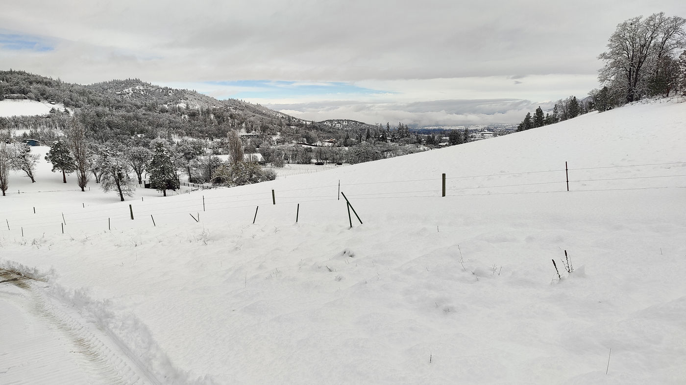 Photo from Short and sweet Oregon winter