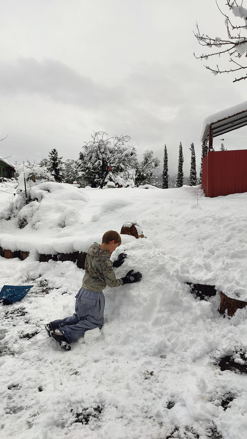 Photo from Short and sweet Oregon winter