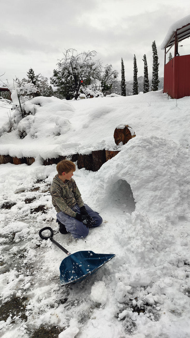 Photo from Short and sweet Oregon winter
