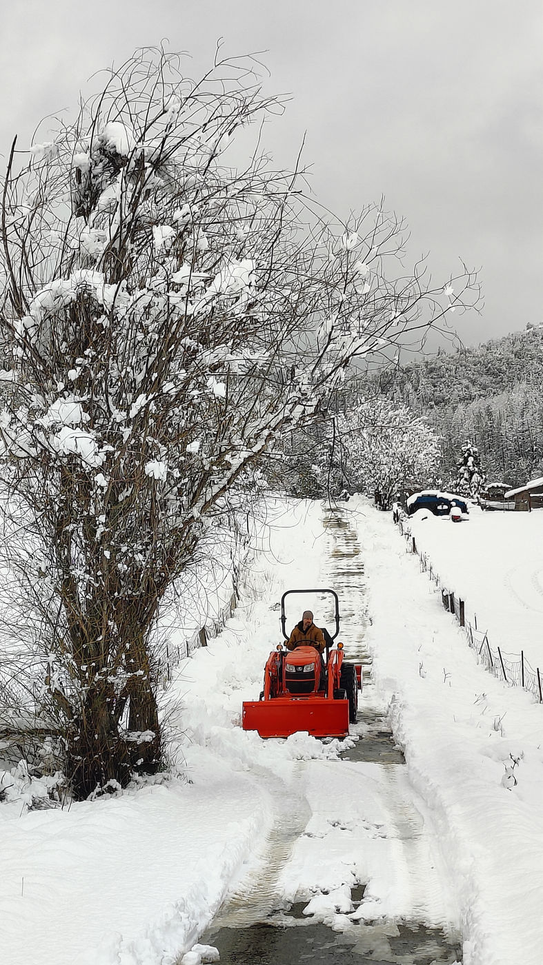 Photo from Short and sweet Oregon winter