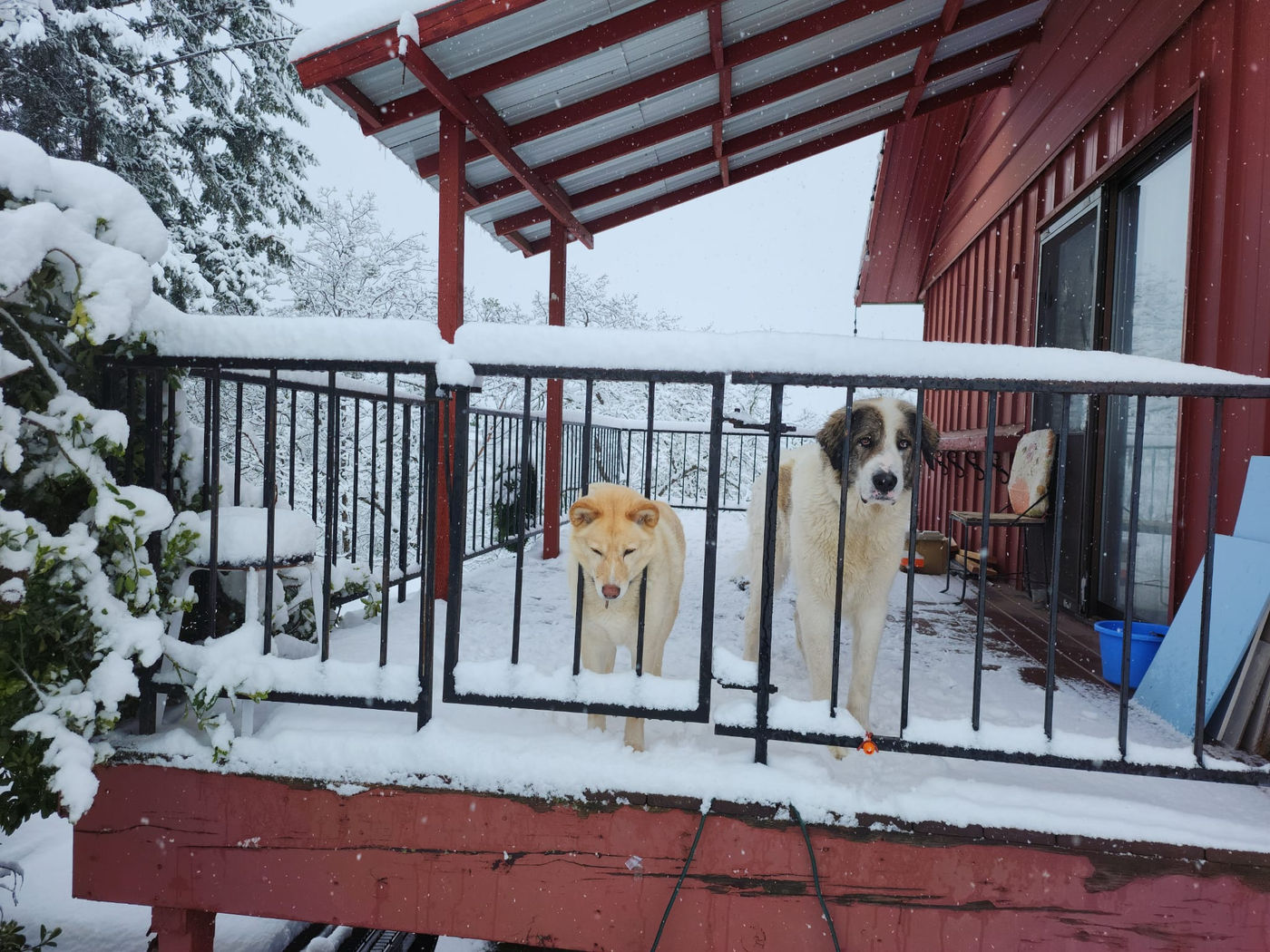 Photo from Short and sweet Oregon winter