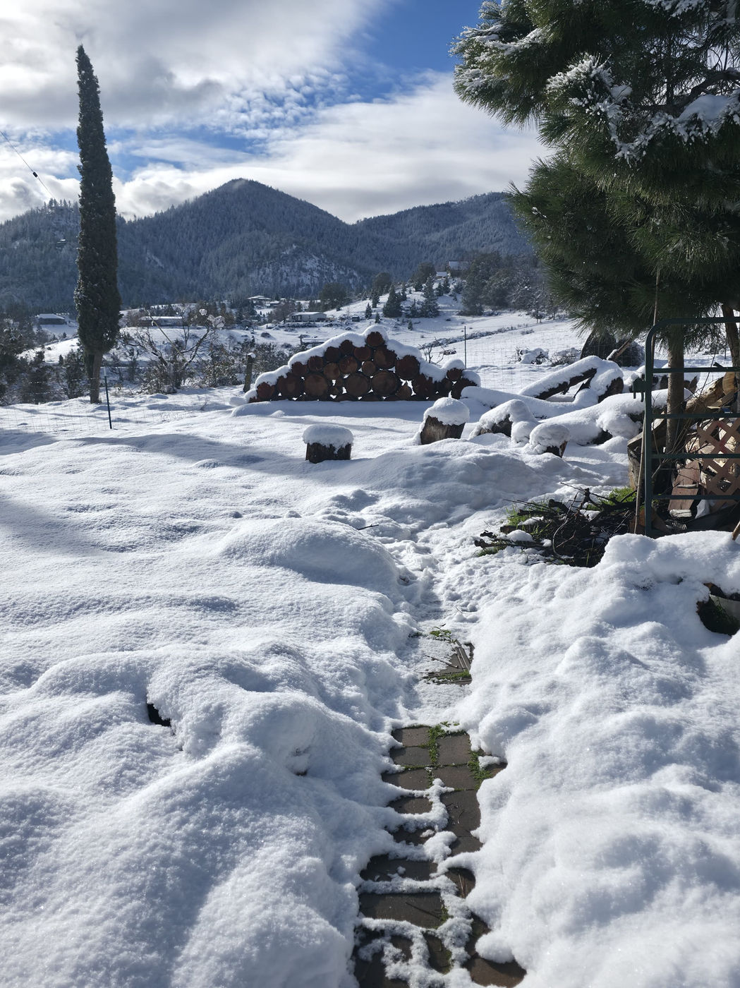 Photo from Short and sweet Oregon winter