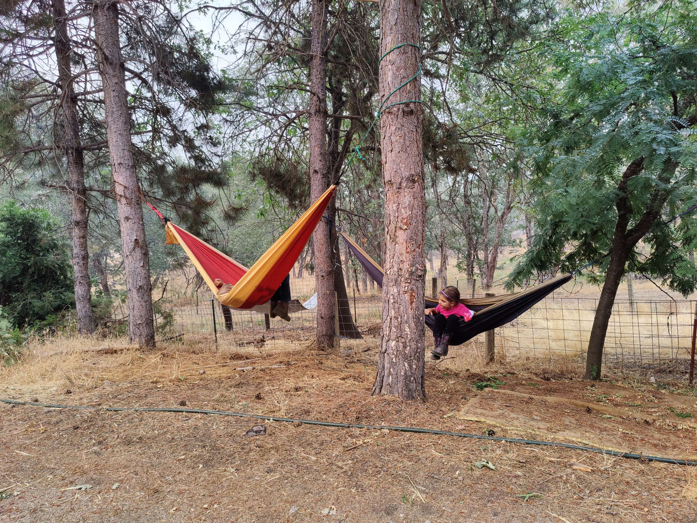Photo from Summer programs and camps