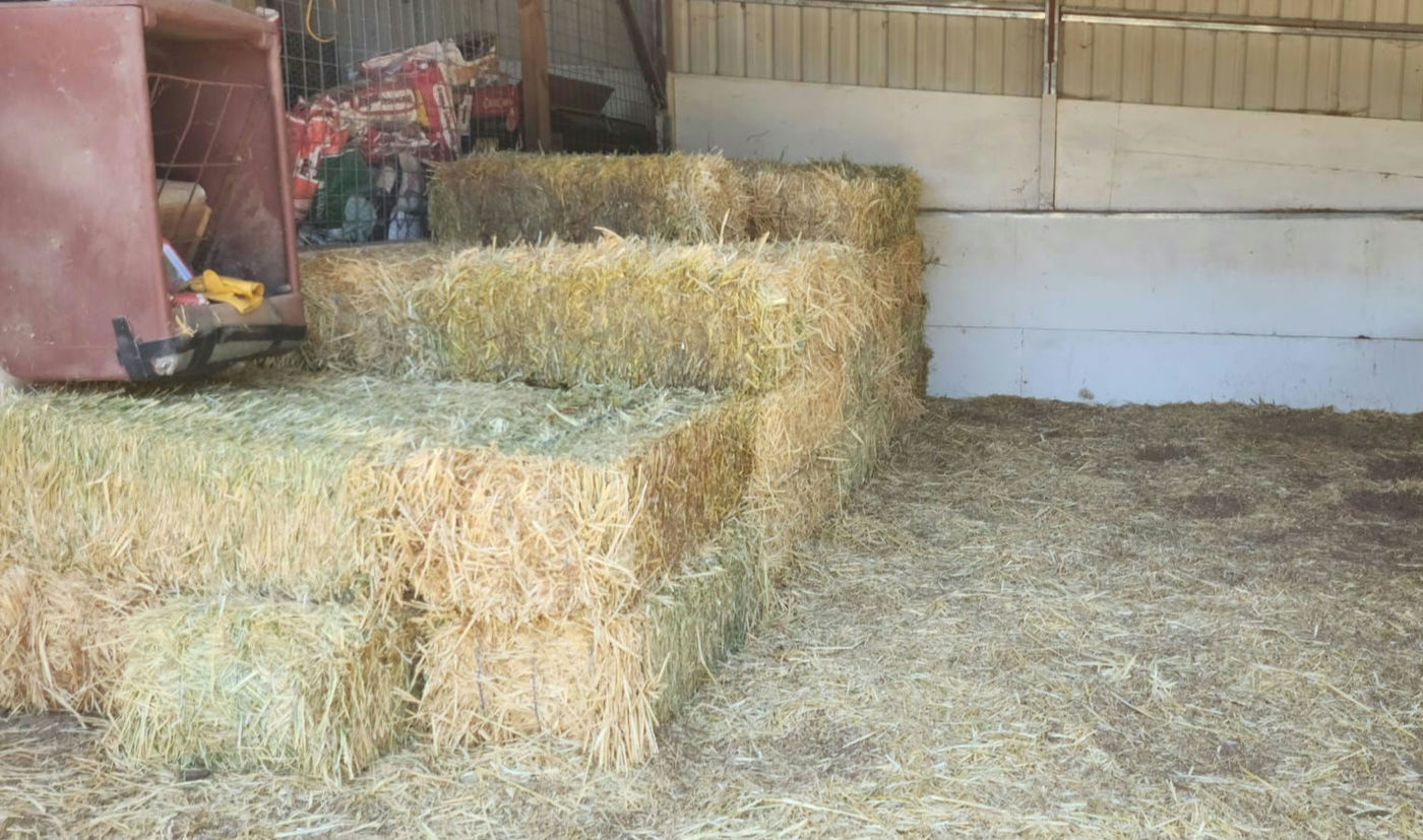 Photo from Tons of Hay!