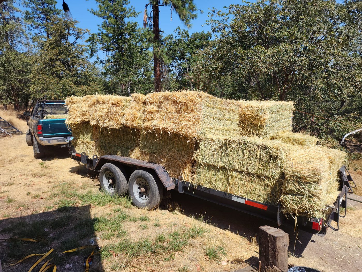 Photo from Tons of Hay!