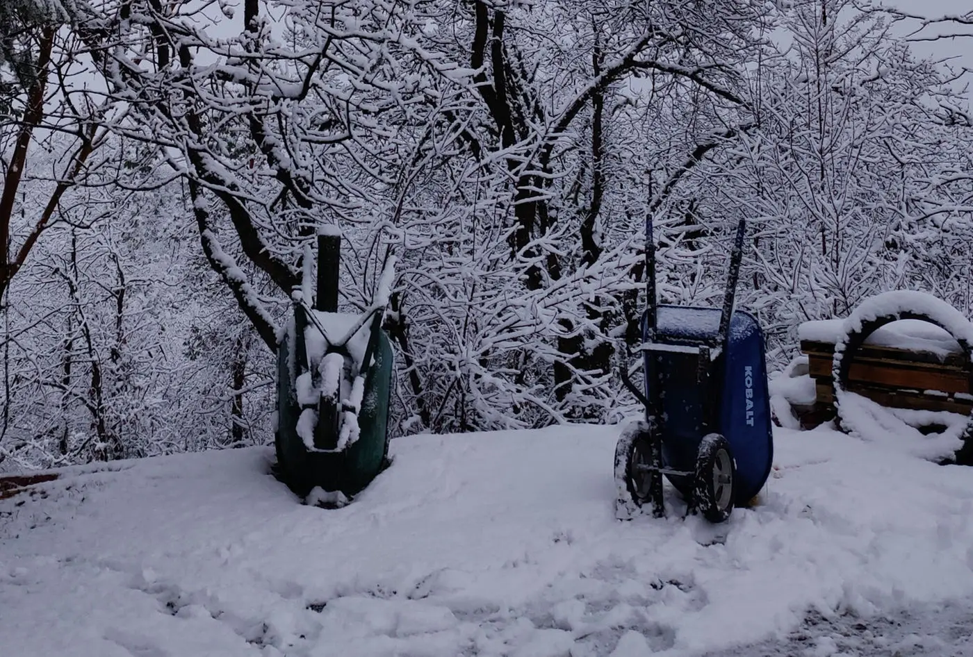 Wheelbarrows under fresh snow among white trees