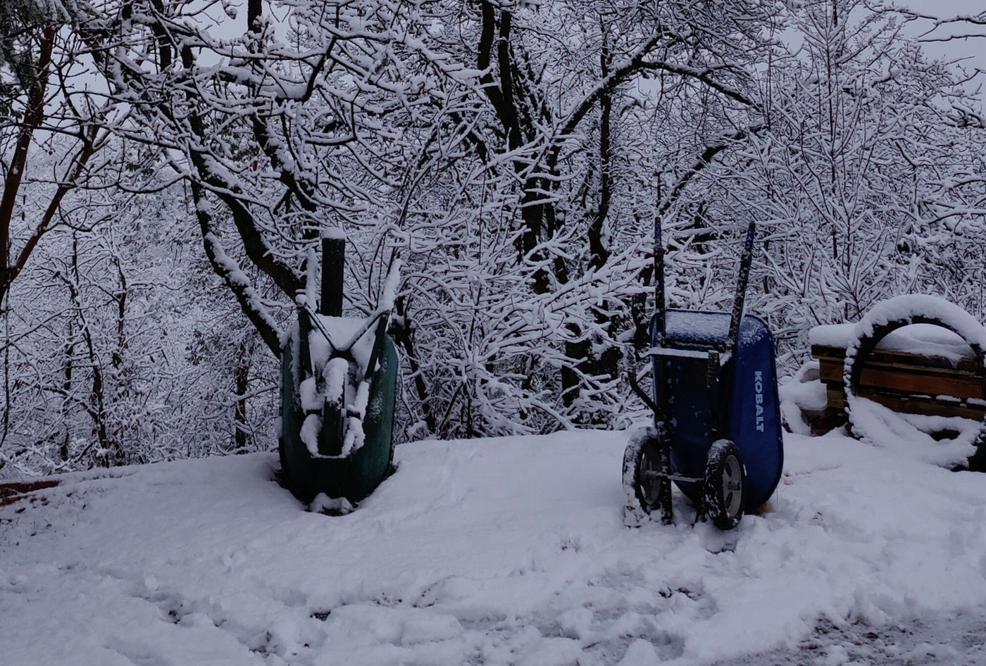 Photo from Winter at last!