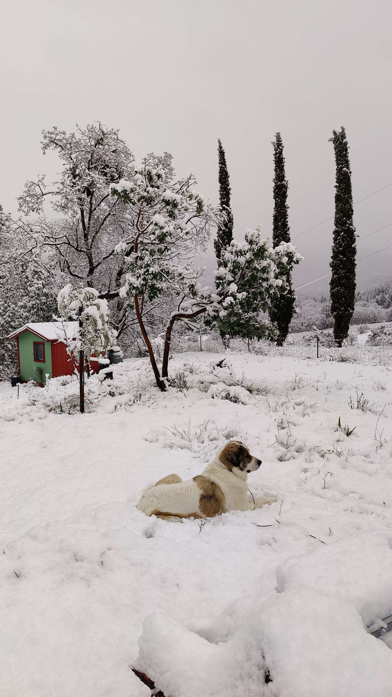 Photo from Winter at last!