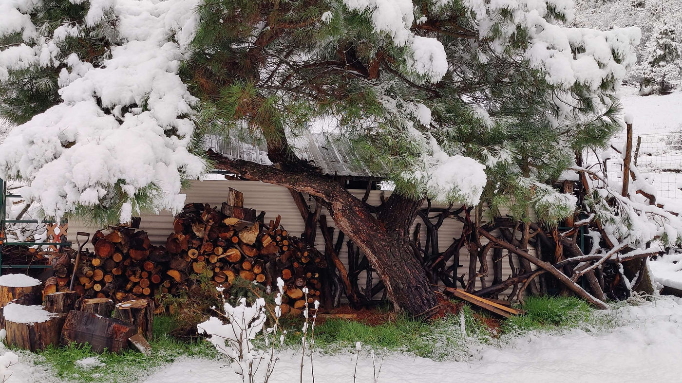 Photo from Winter at last!