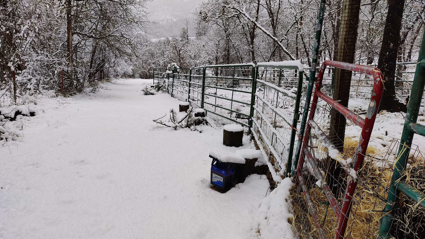 Photo from Winter at last!