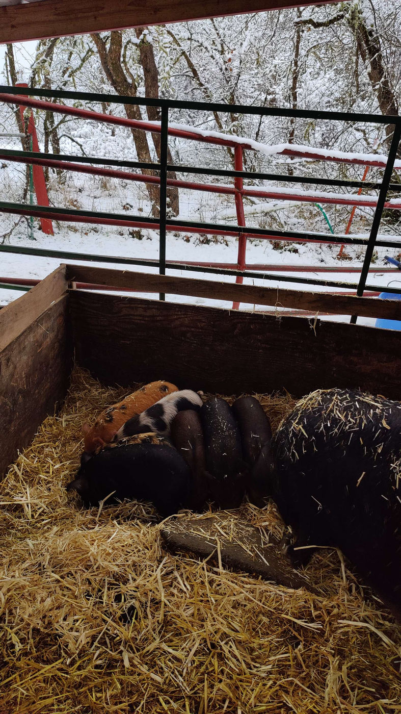 Photo from Winter at last!