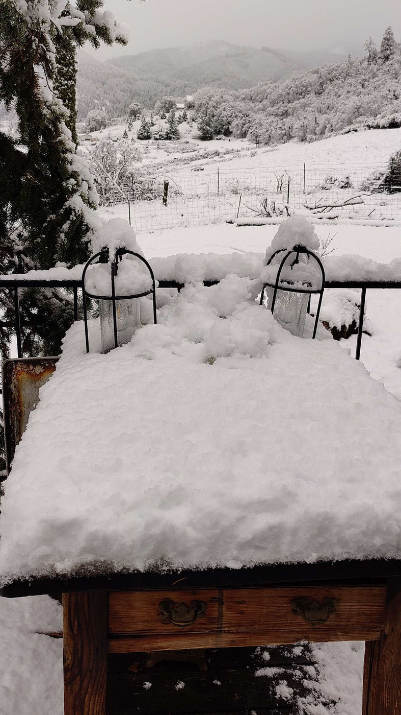 Photo from Winter at last!