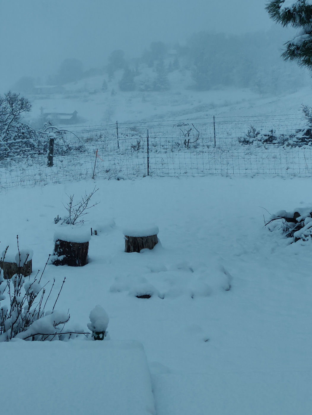 Photo from Winter!