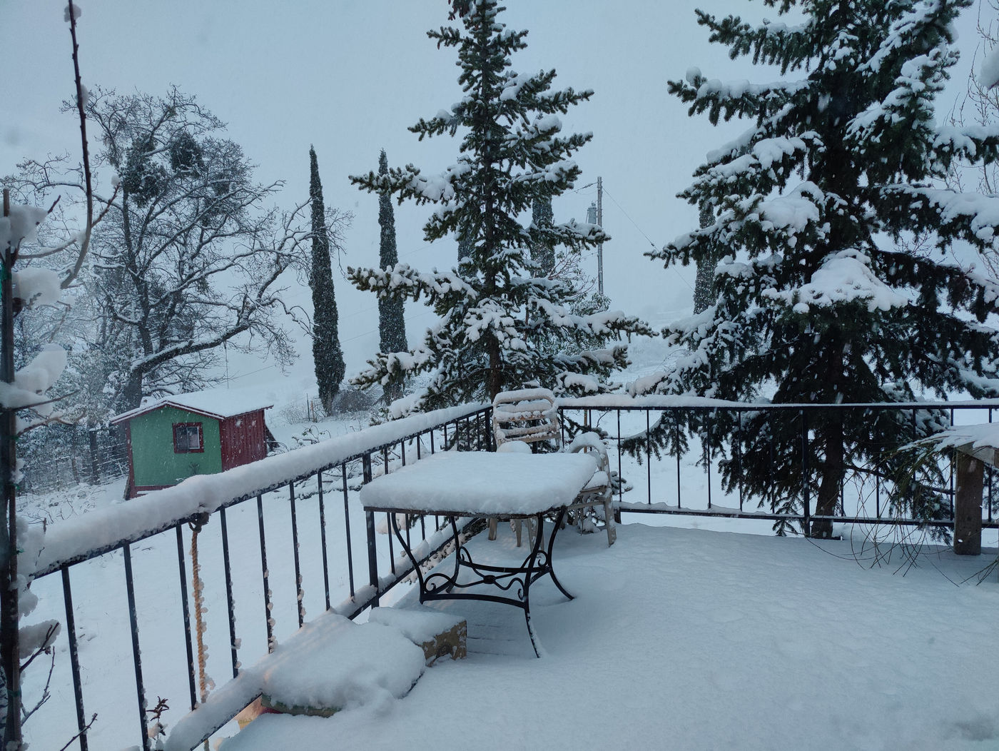 Photo from Winter!