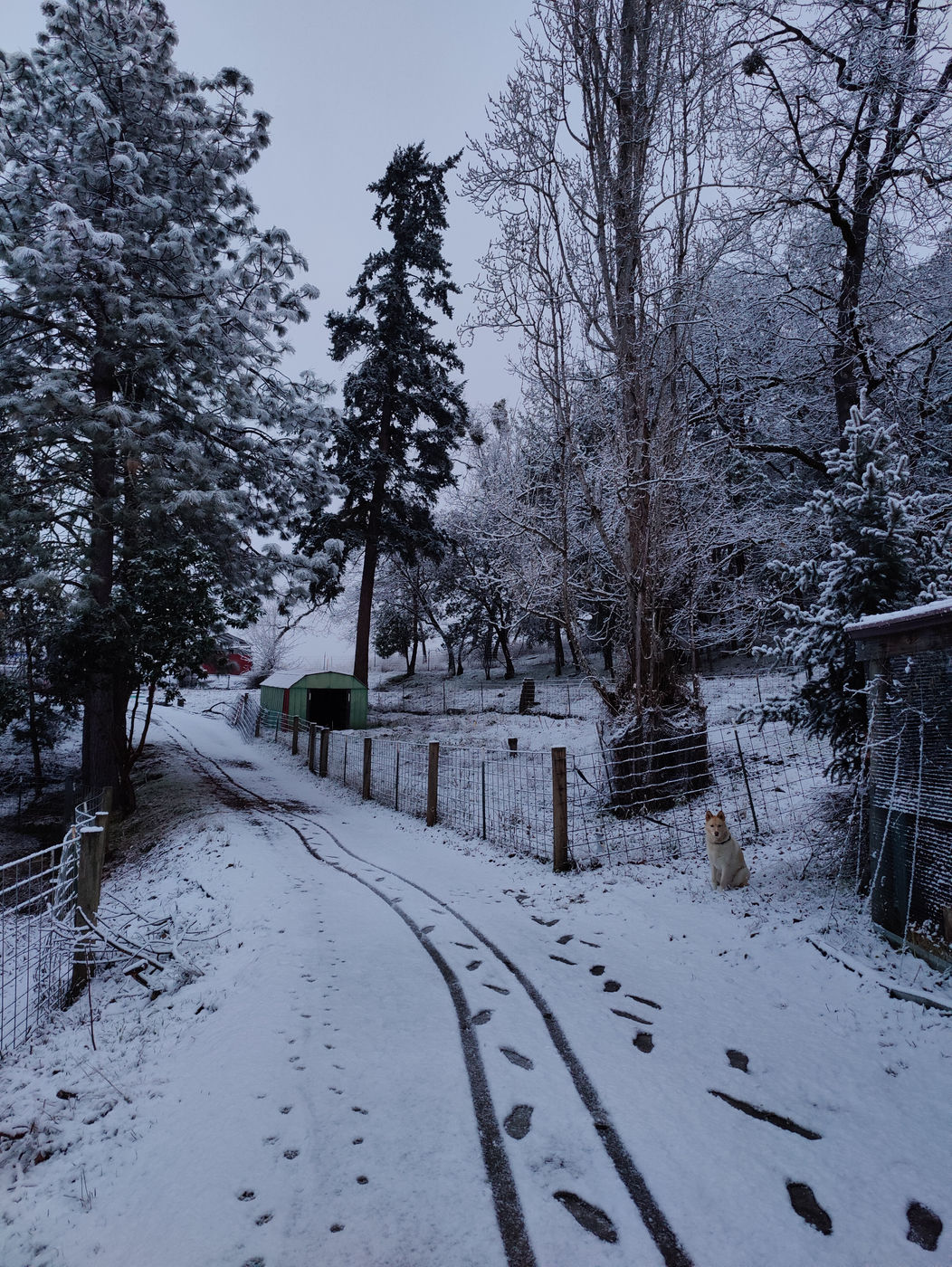 Photo from Winter!