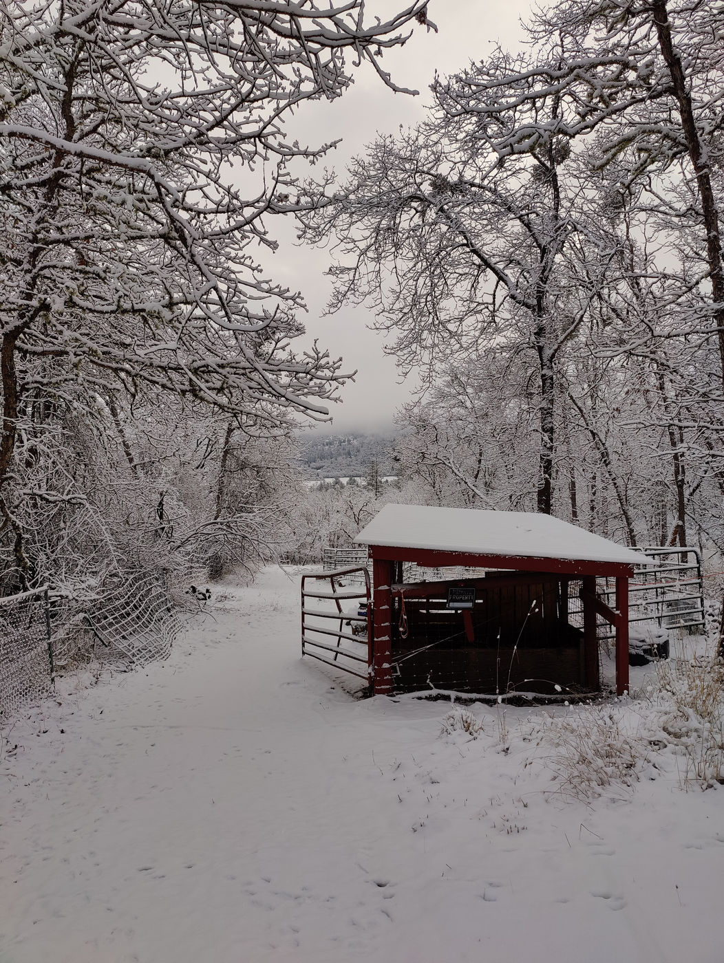 Photo from Winter!