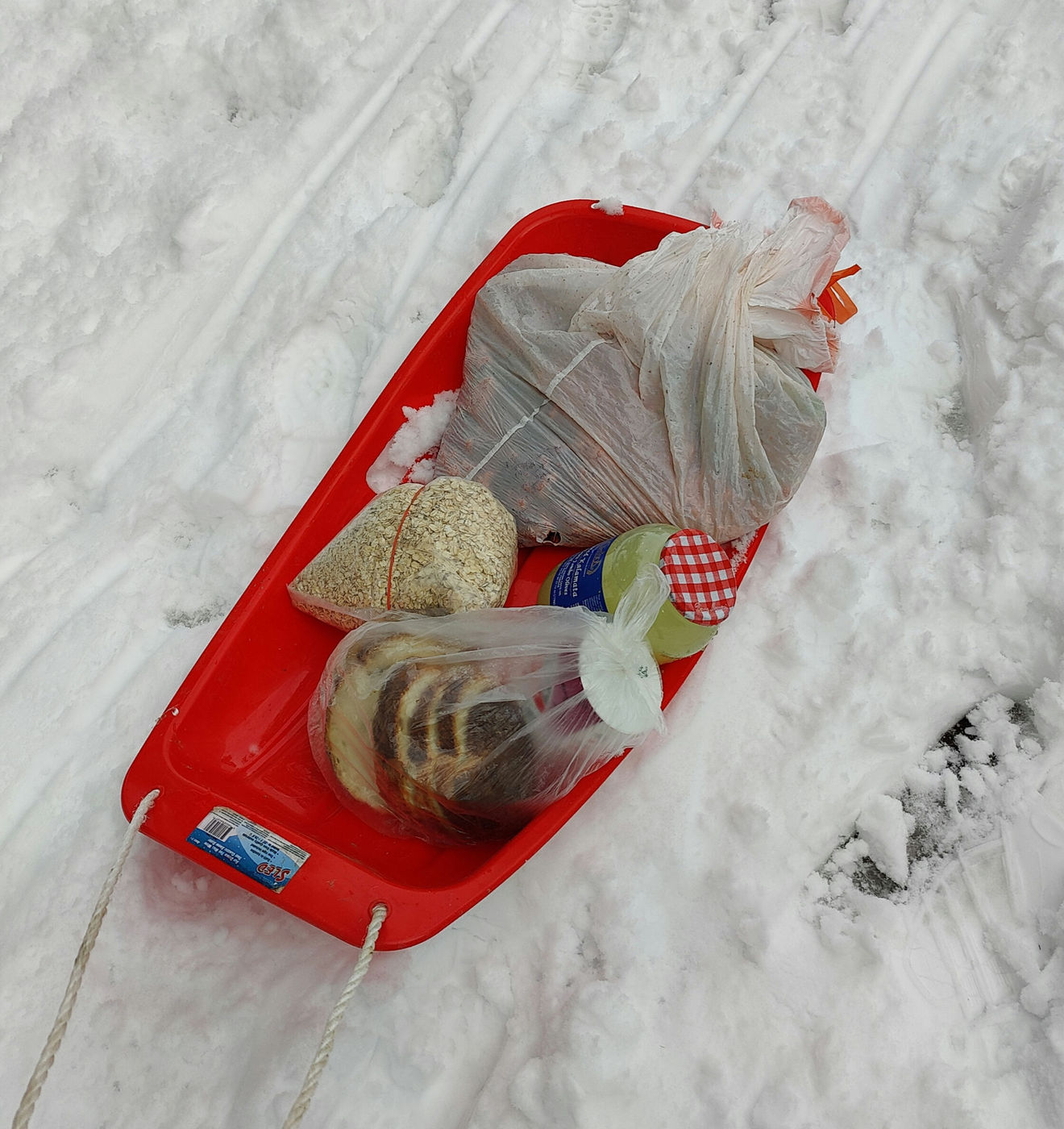 Photo from Winter!