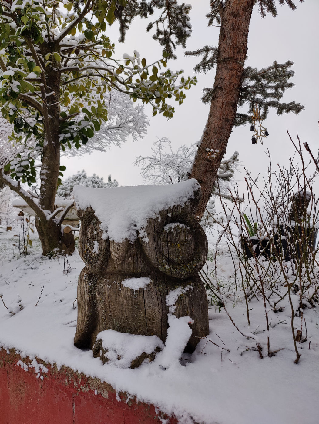 Photo from Winter!